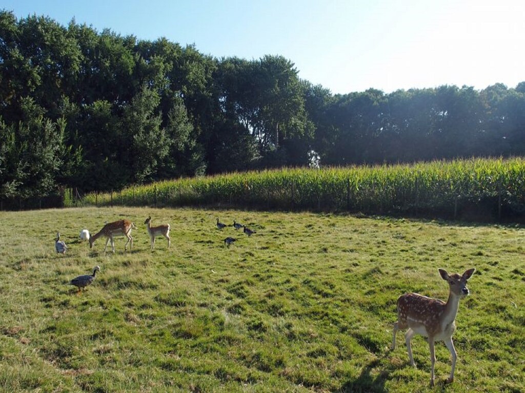 Bild 21 Bild 21