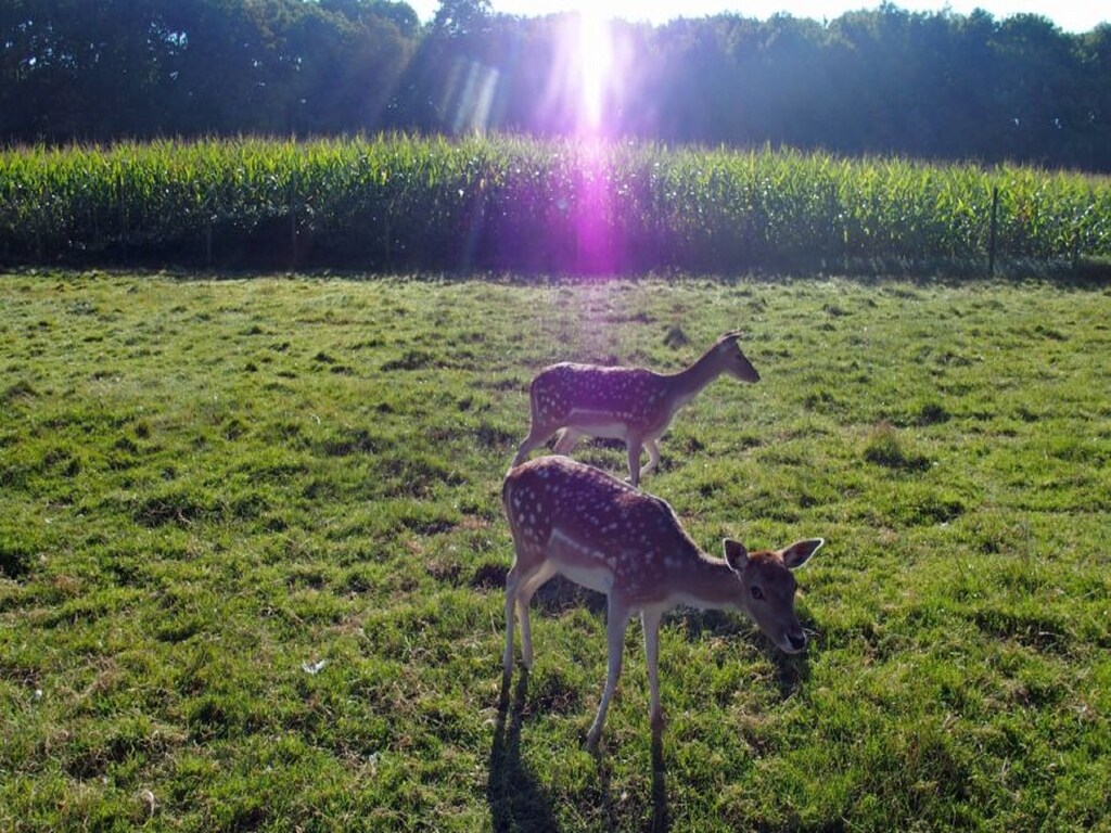 Bild 22 Bild 22