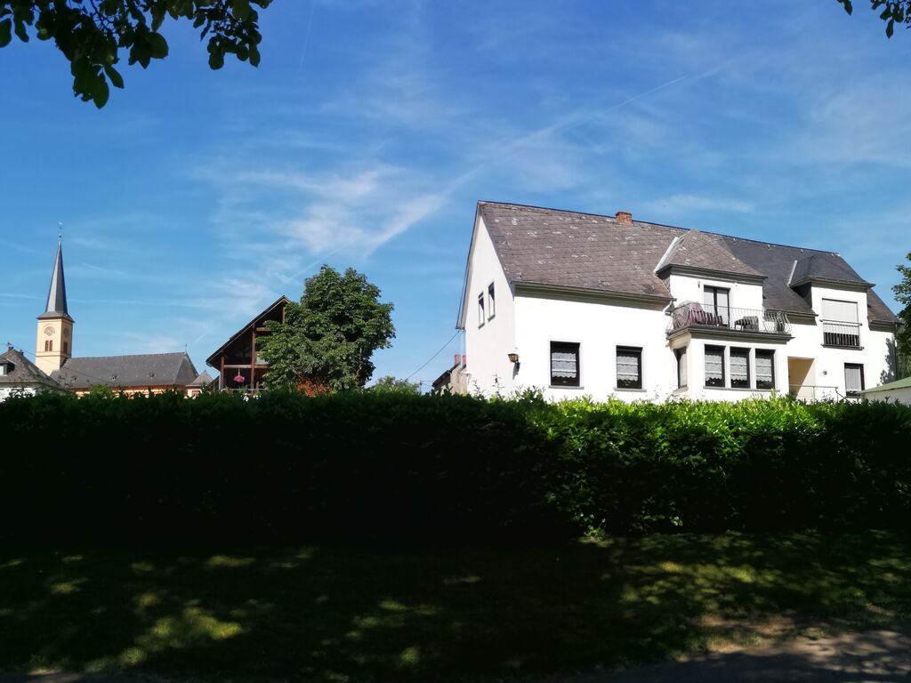 Prachtig appartement in Trittenheim met een tuin en terras
