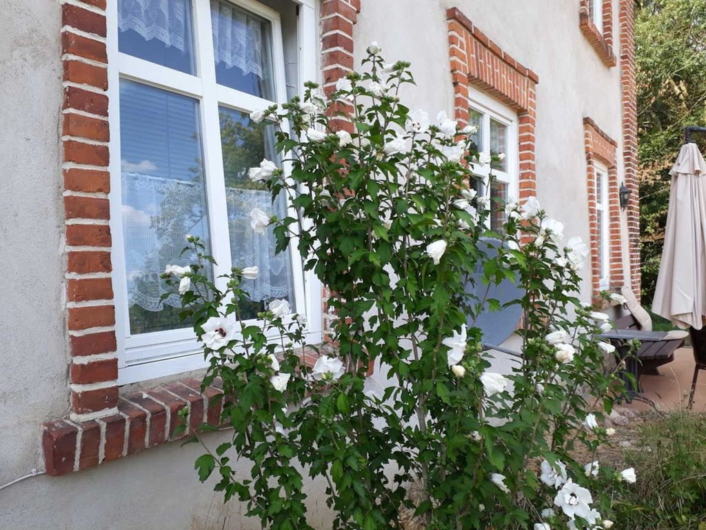 Bild 21 Bild 21