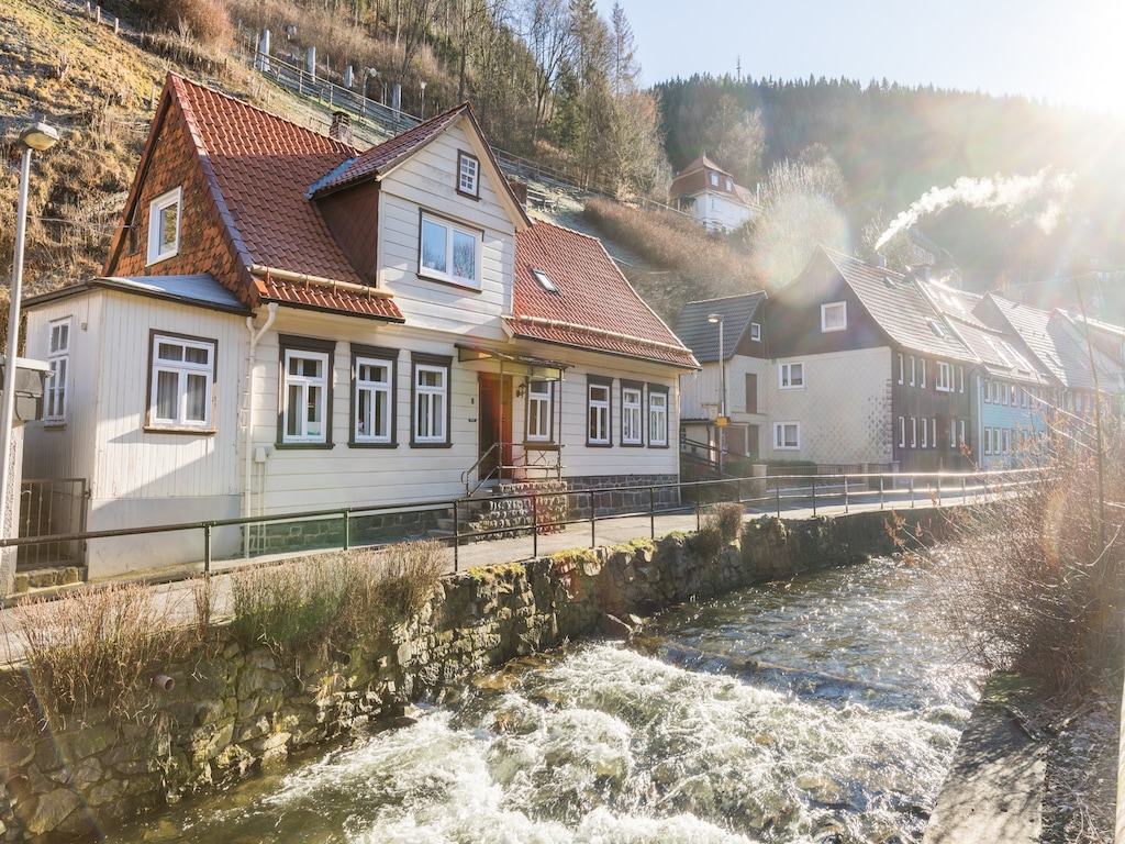 Ferienhaus Innerste Ferienhaus  Niedersachsen Harz