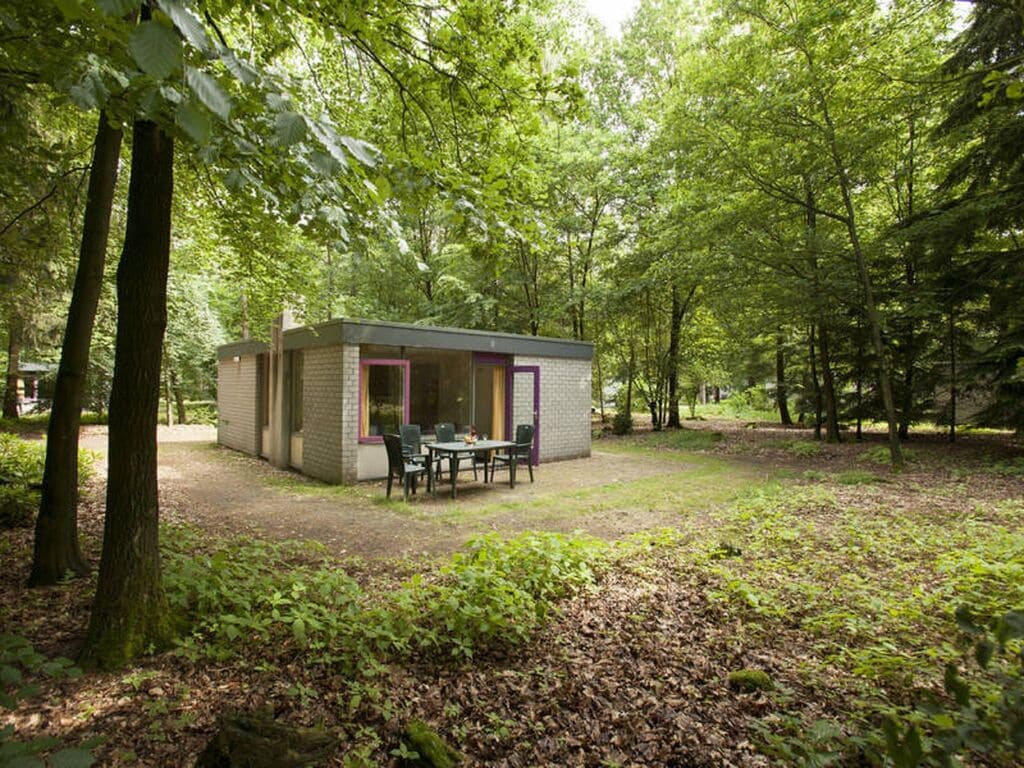 Verzorgd ingerichte bungalow met open haard, op de Veluwe