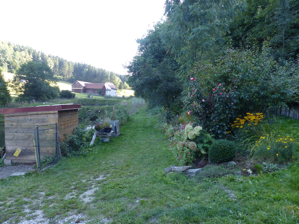 Bild 25 Bild 25