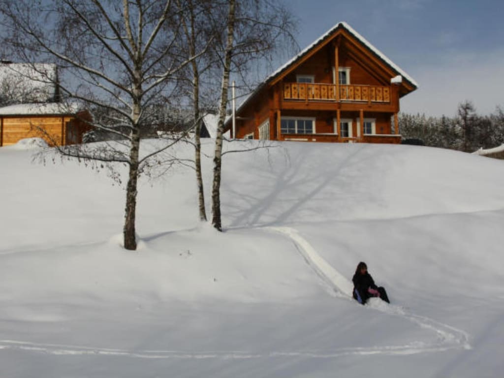 Blokhut in Wissinghausen bij Winterberg