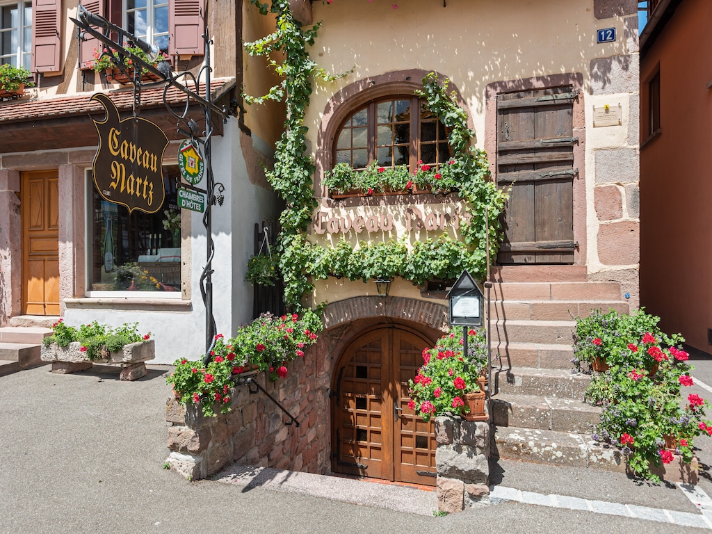 Ferienwohnung Grand Gite North (2814663), Dambach la Ville, Unterelsass, Elsass, Frankreich, Bild 11