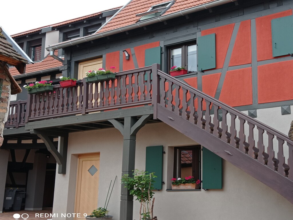 Ferienwohnung Grand Gite North (2814663), Dambach la Ville, Unterelsass, Elsass, Frankreich, Bild 38