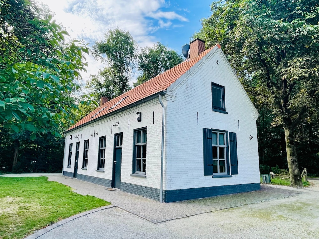 Bosbeertje 43 Ferienhaus 