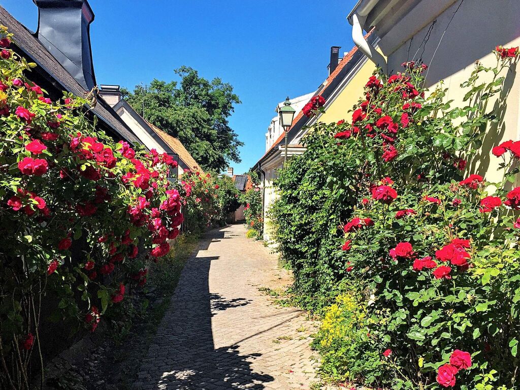 4 persoons vakantie huis in Visby