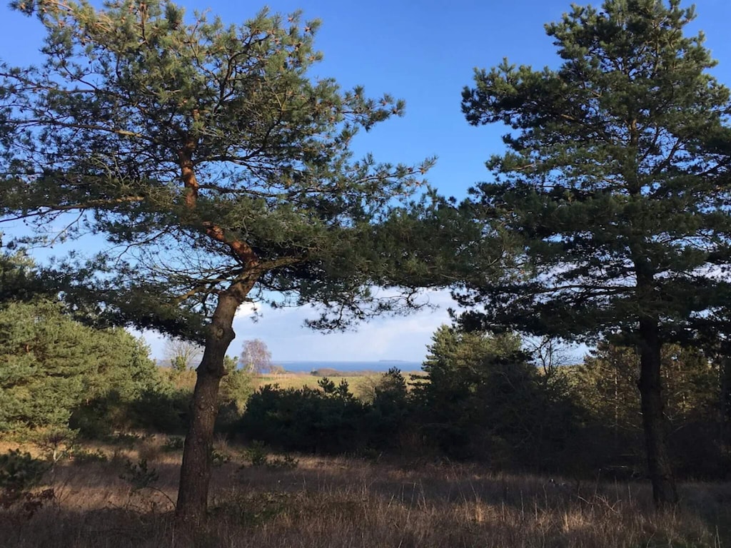 6 persoons vakantie huis in Knebel