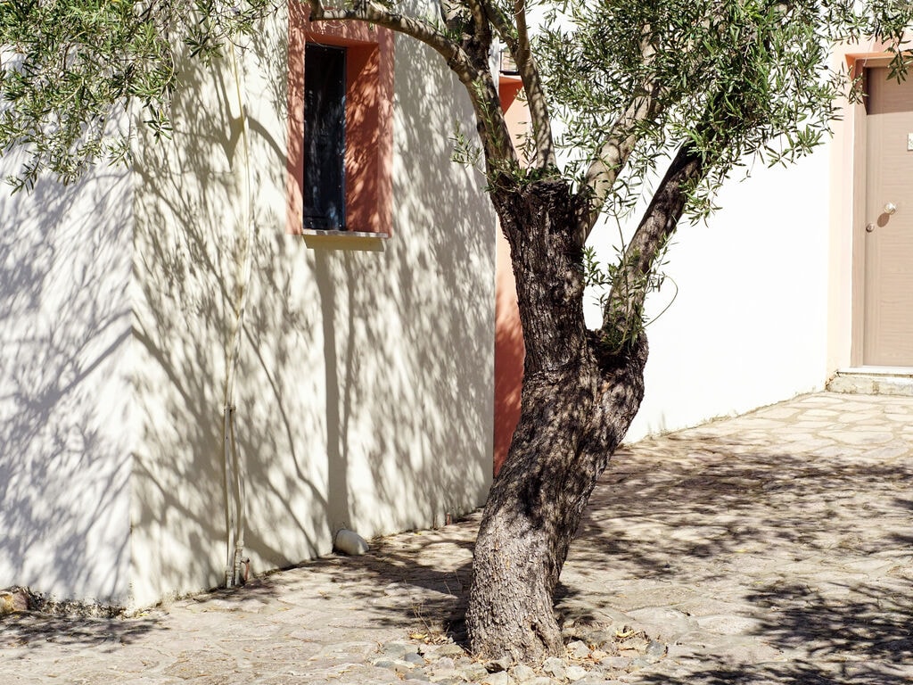 Ferienwohnung Lassia Studio 1 Sea View (2795456), Petra (GR), Lesbos, Ägäische Inseln, Griechenland, Bild 15