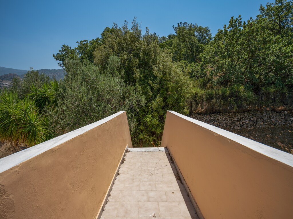 Ferienwohnung Lassia Studio 5 mit Meerblick (2795493), Petra (GR), Lesbos, Ägäische Inseln, Griechenland, Bild 12