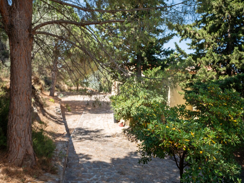 Ferienwohnung Lassia Studio 12 mit Poolblick (2795489), Petra (GR), Lesbos, Ägäische Inseln, Griechenland, Bild 19