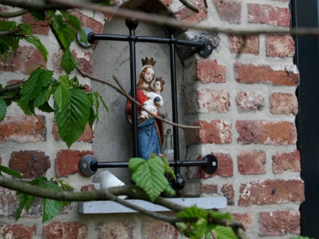 Bild 9 Bild 9