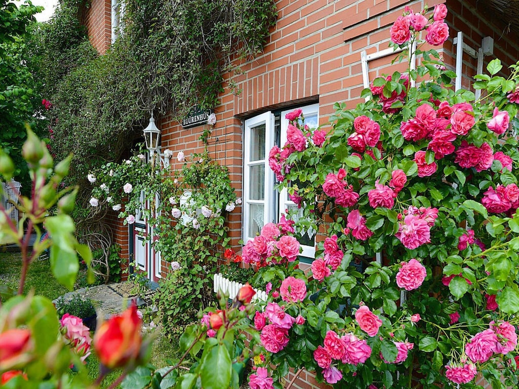 Vakantieappartement in Oevenum op Foehr