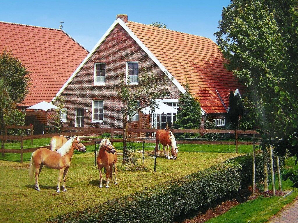Typ 1 Typ 1