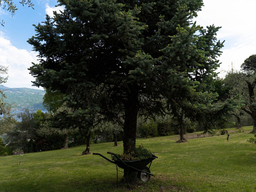 Bild 6 Bild 6