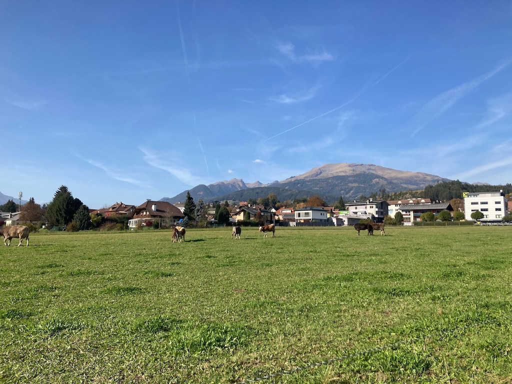 Bild 14 Bild 14