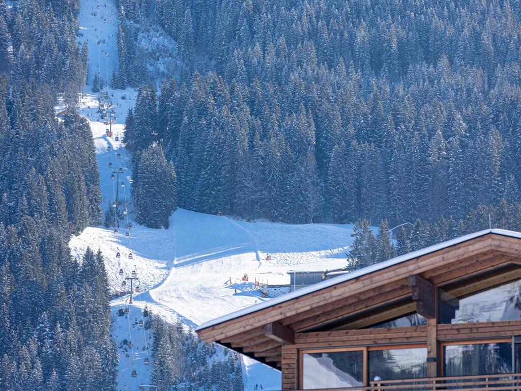 Bild 4 Bild 4