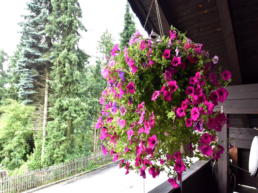 Bild 20 Bild 20