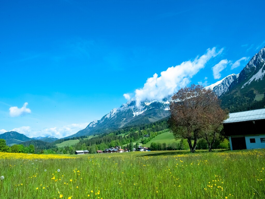Bild 13