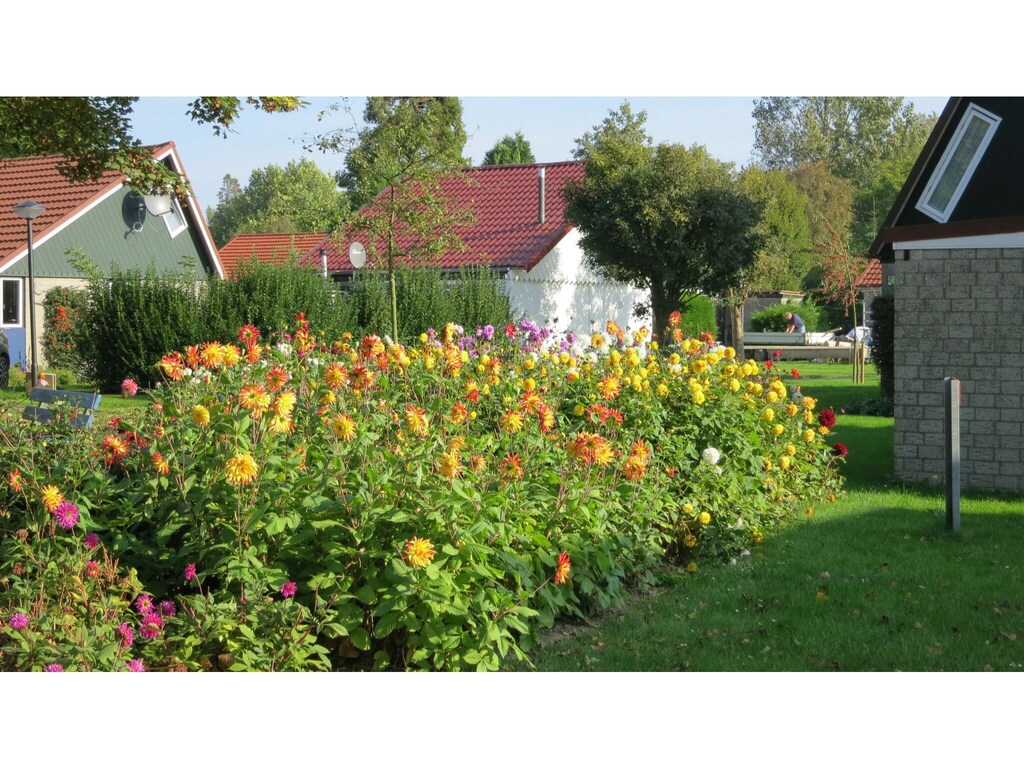 Bild 9 Bild 9