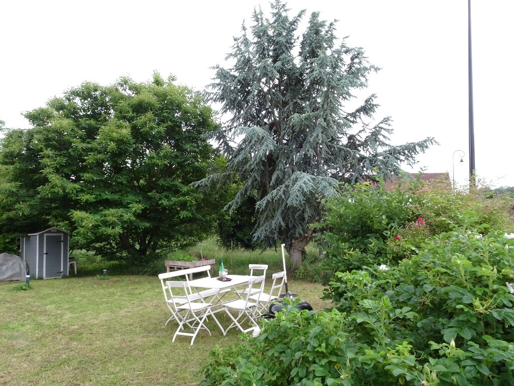 Bild 14 Bild 14