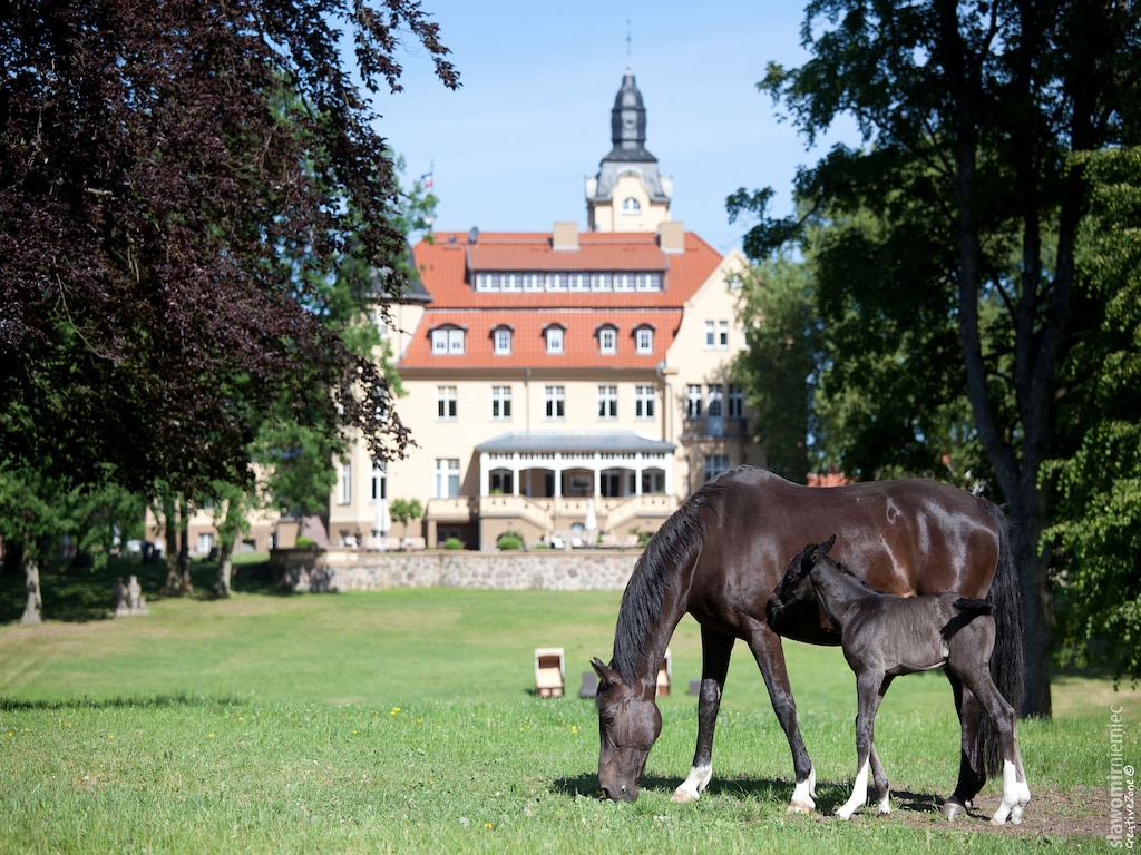 Vakantiehuis nabij WINSTONgolf Schwerin
