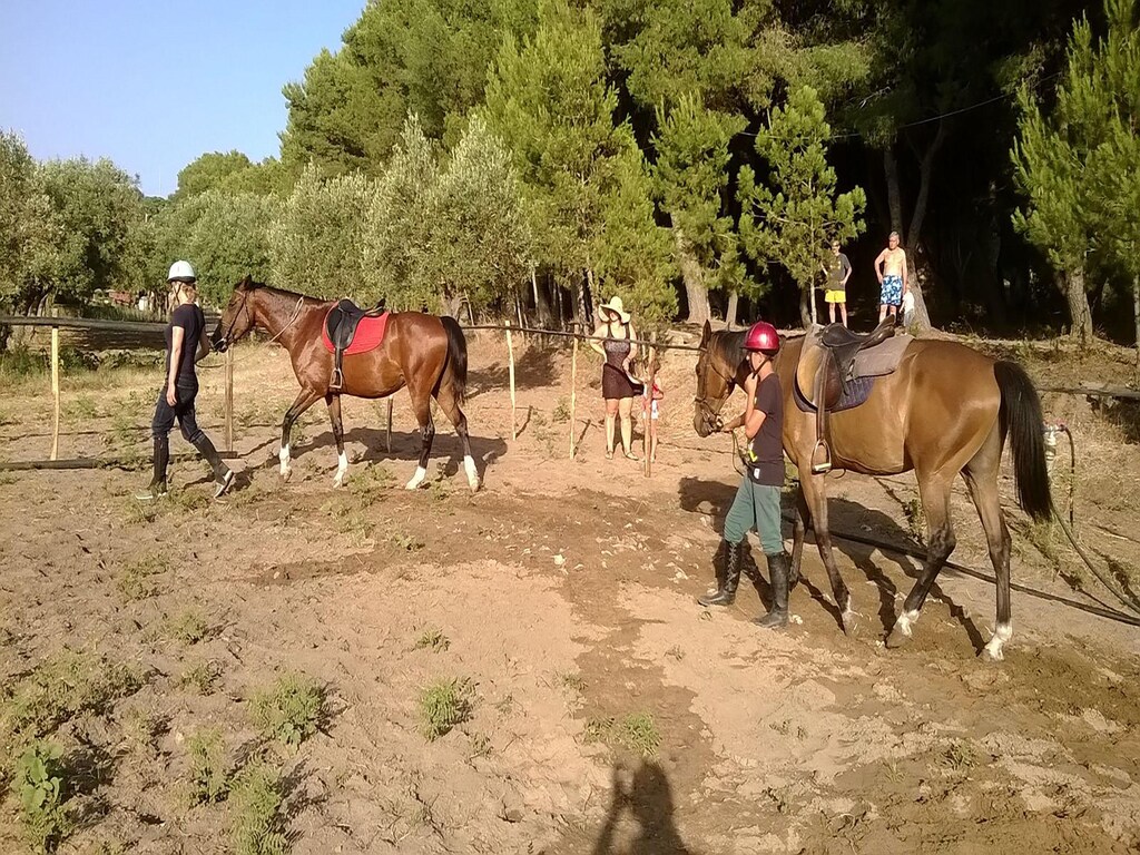 Bild 21 Bild 21