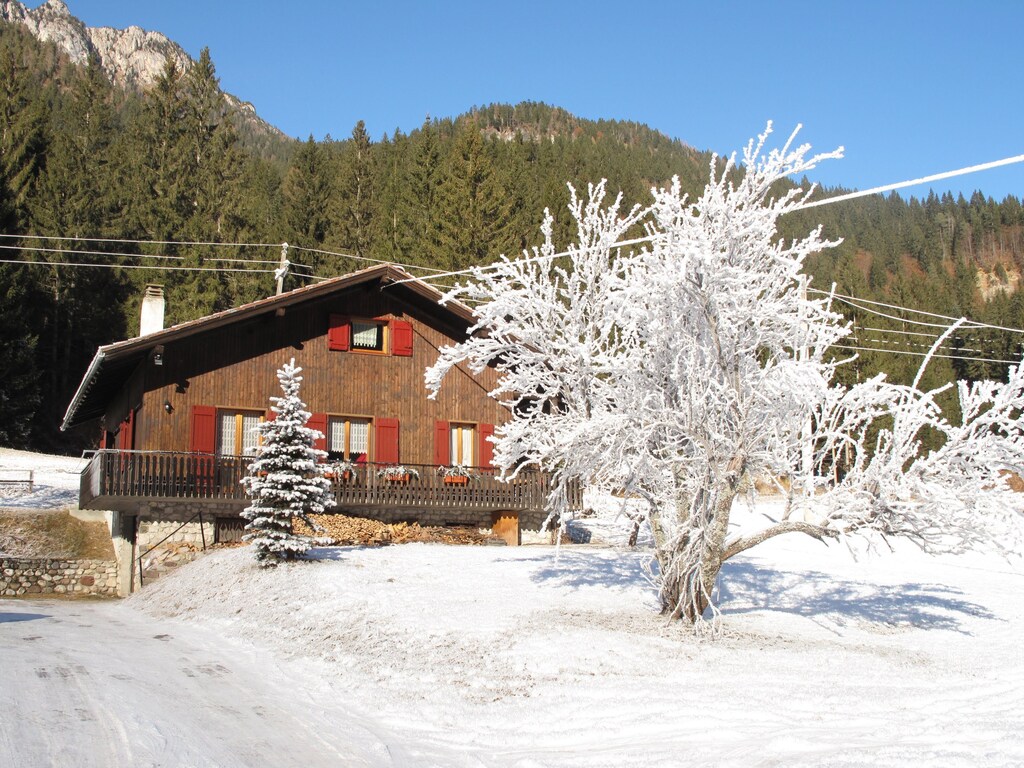Bild 19