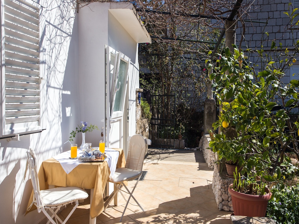 Apartments Ljubimir - Comfort One-Bedroom Apartment with Shared Terrace - Nono