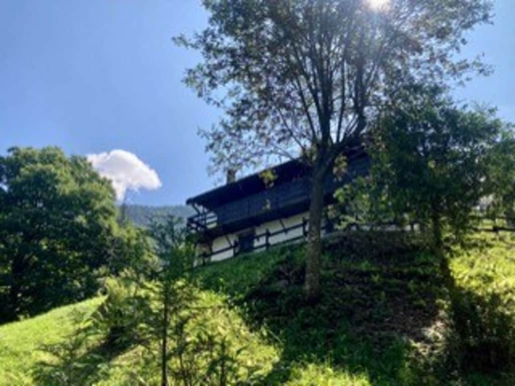 Bild 13