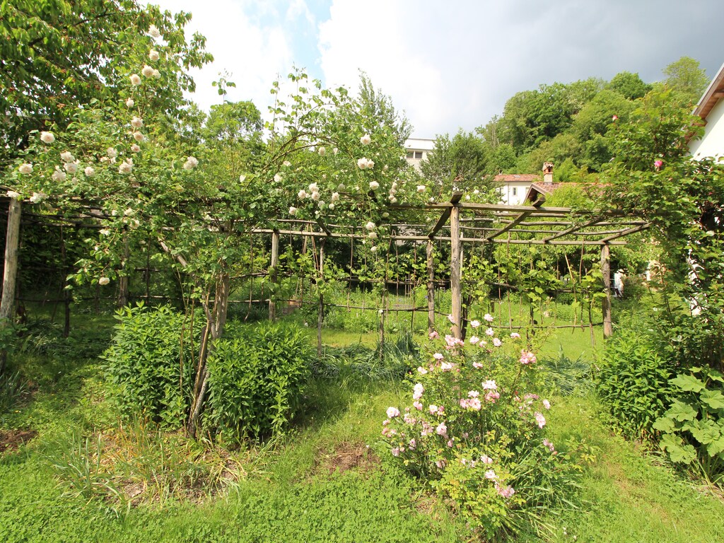 Bild 22 Bild 22
