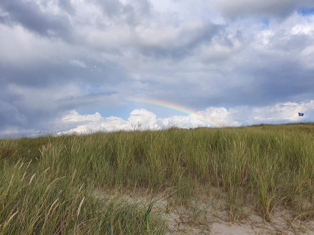 Abgeschiedenes Refugium in Blavand -- By Traum Ferienwohnungen