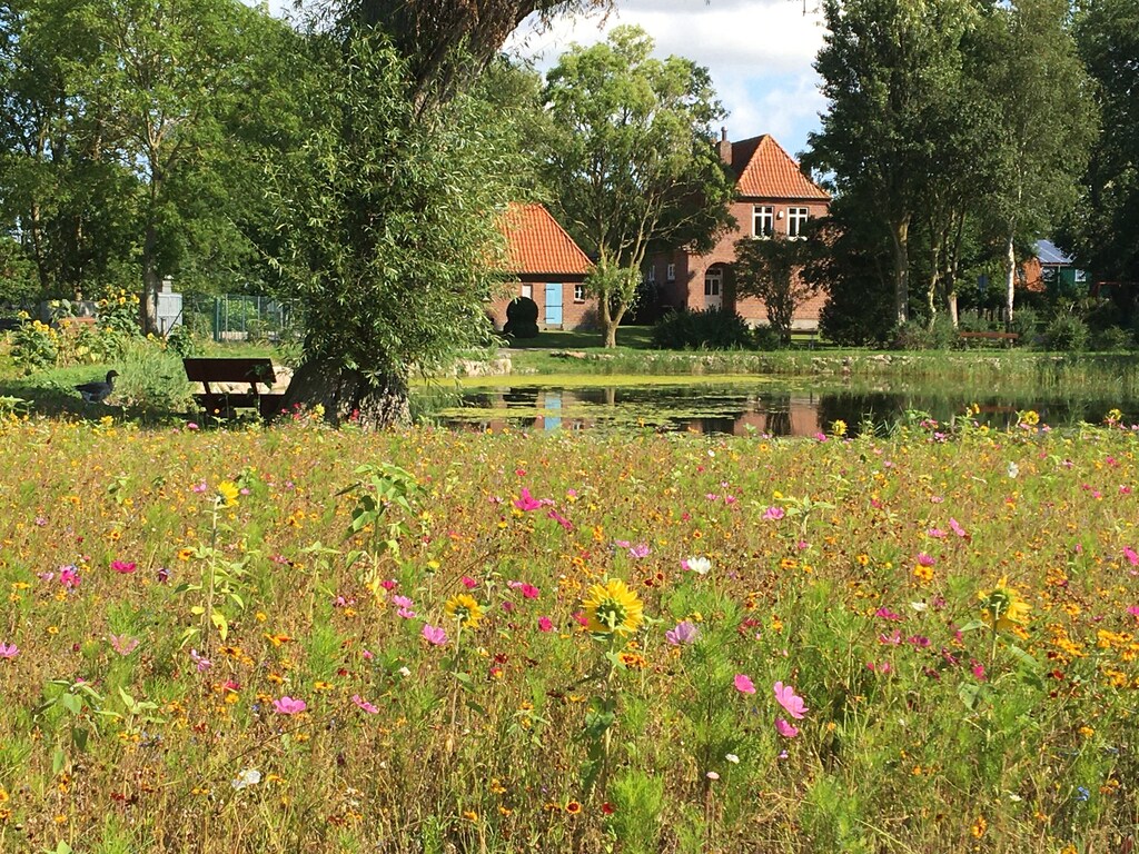 Bild 15 Bild 15