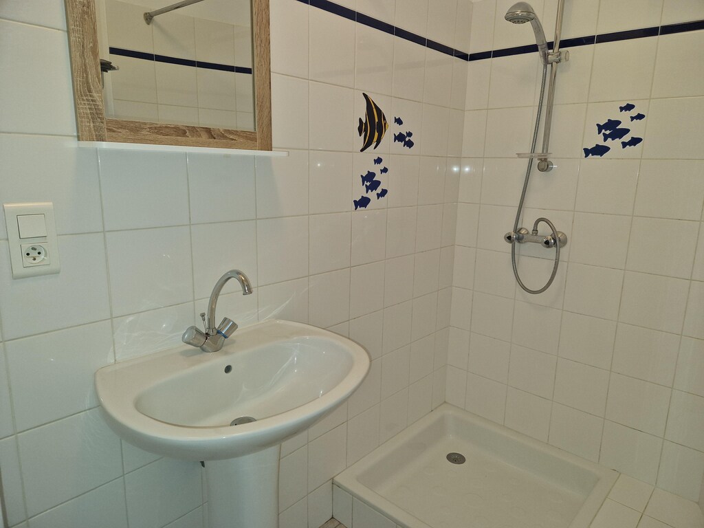 Bild 11 Bild 11
