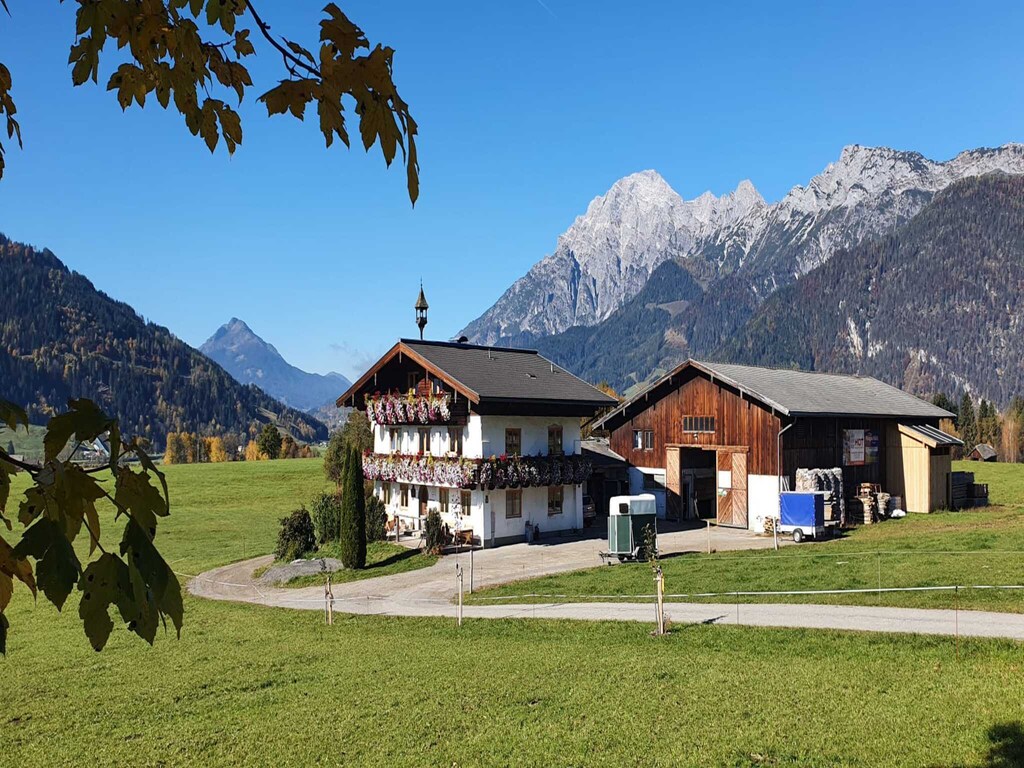 Bild 12 Bild 12