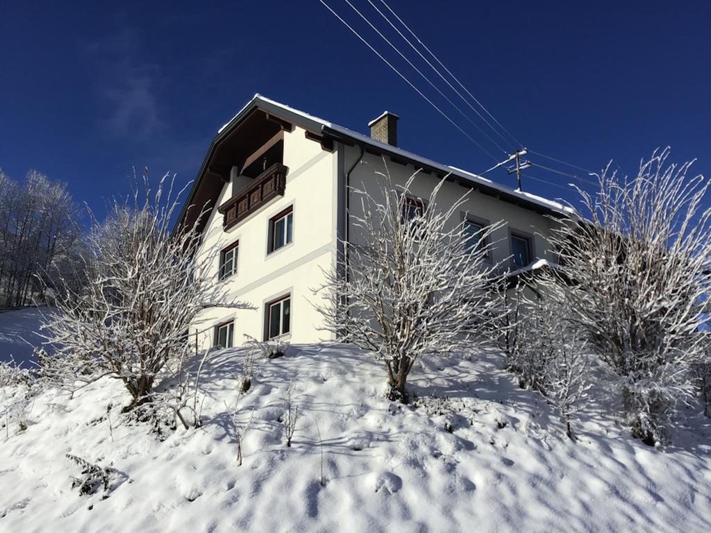 Bild 7 Bild 7