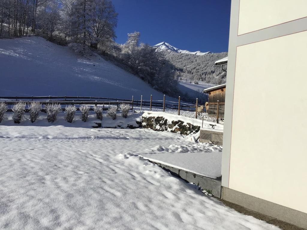 Bild 8 Bild 8
