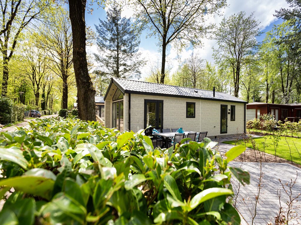 Gepflegtes Chalet in der Mitte von De Veluwe