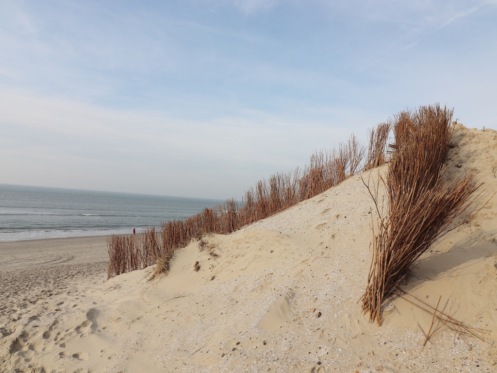 Charmant duinchalet tussen golfbaan en strand in Hollum