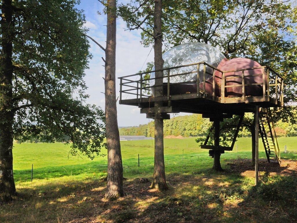 Zeltunterkunft mit Terrasse