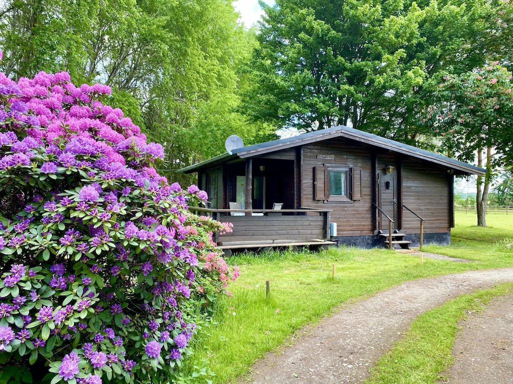 Vakantiehuis op een manege