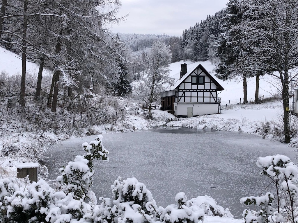 Rückzugsort am Teich in Winterberg