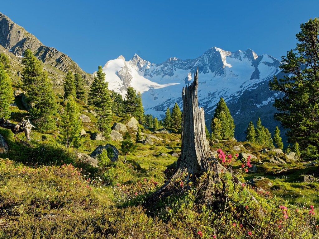 Chalet Hochkrimml met sauna aan de skipiste