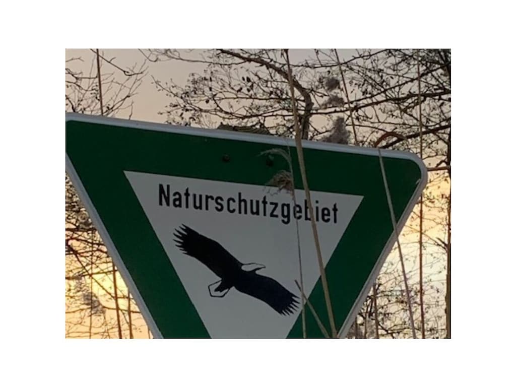   427718