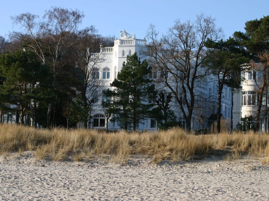 Seeschwalbe in der Villa Sirene Binz