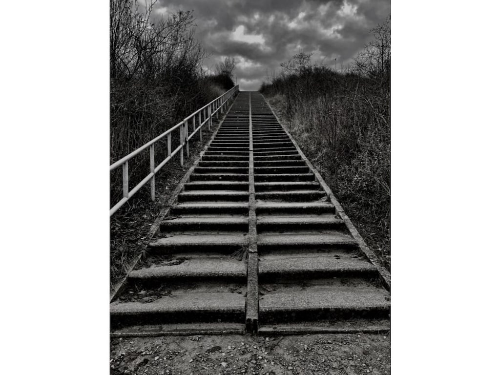   256517