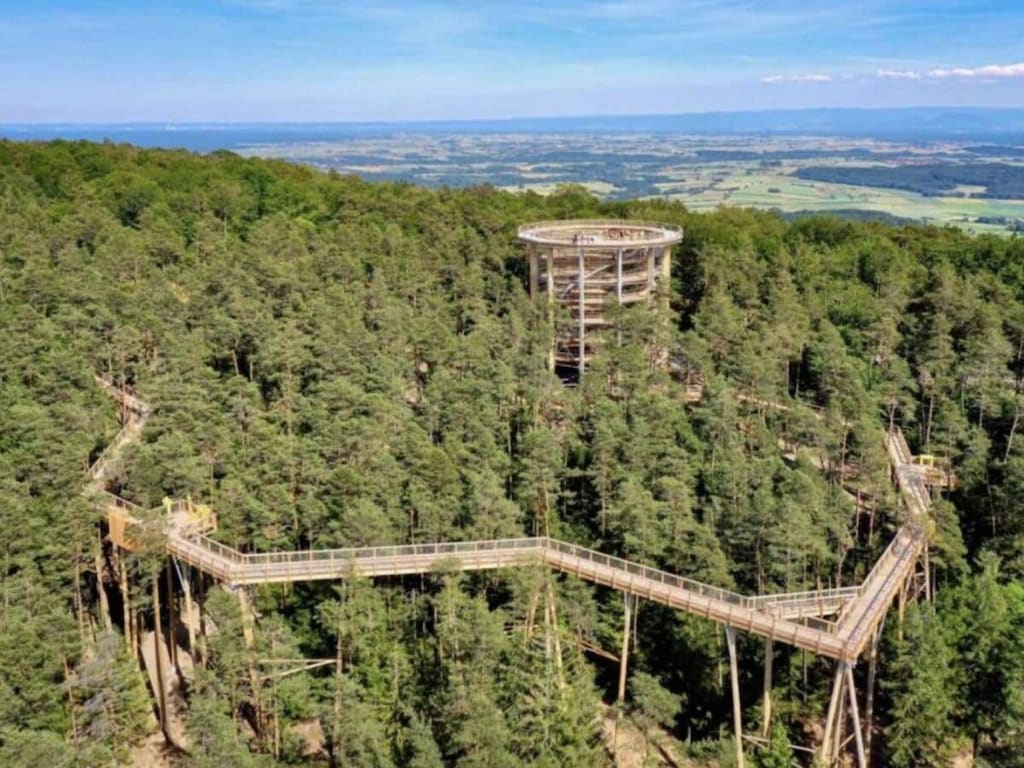  83461