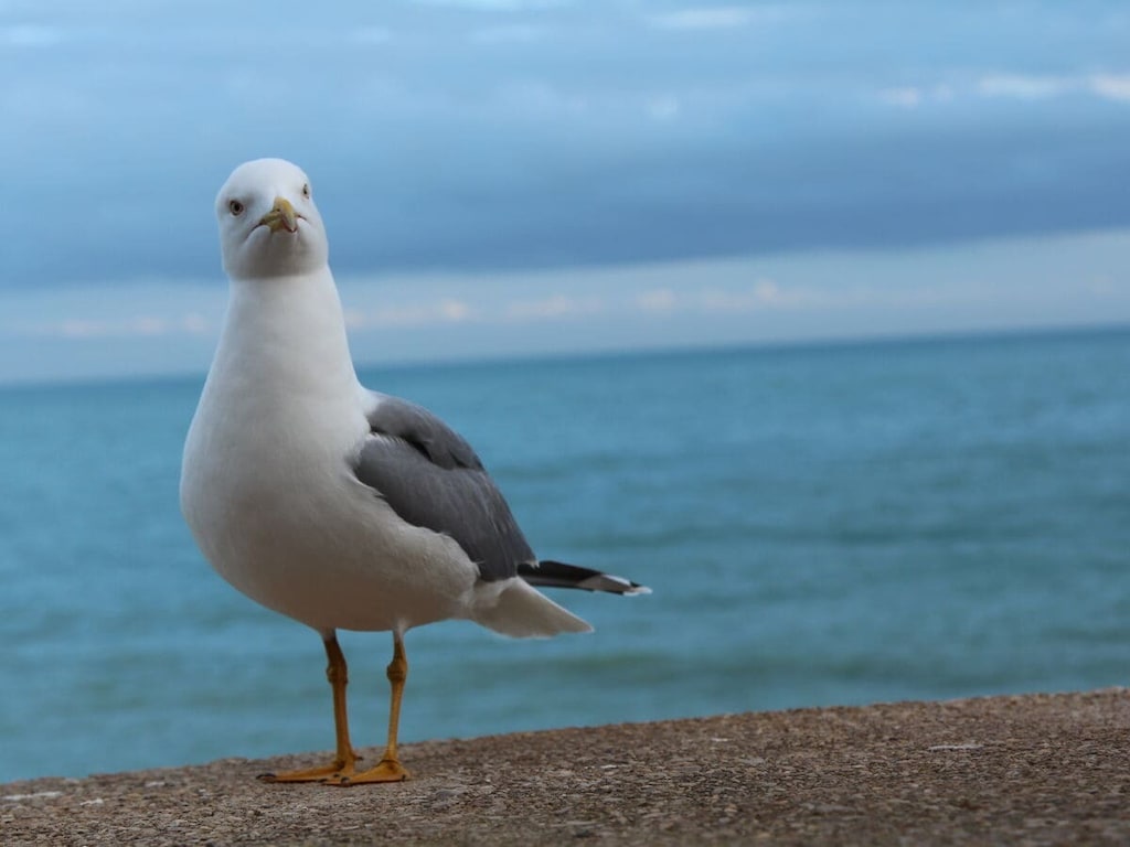   312935