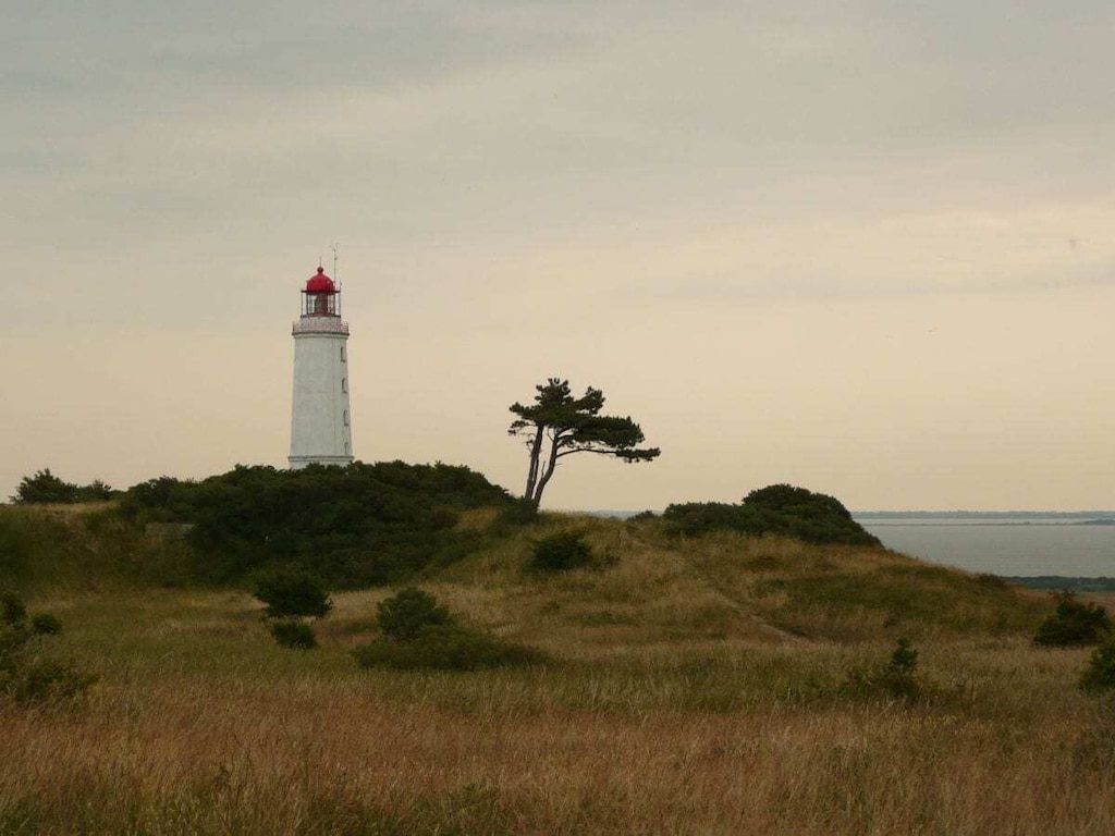   185484